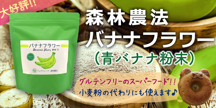 森林農法 バナナフラワー(青バナナ粉末) グルテンフリーで小麦粉の代替品にも使えるスーパーフードです